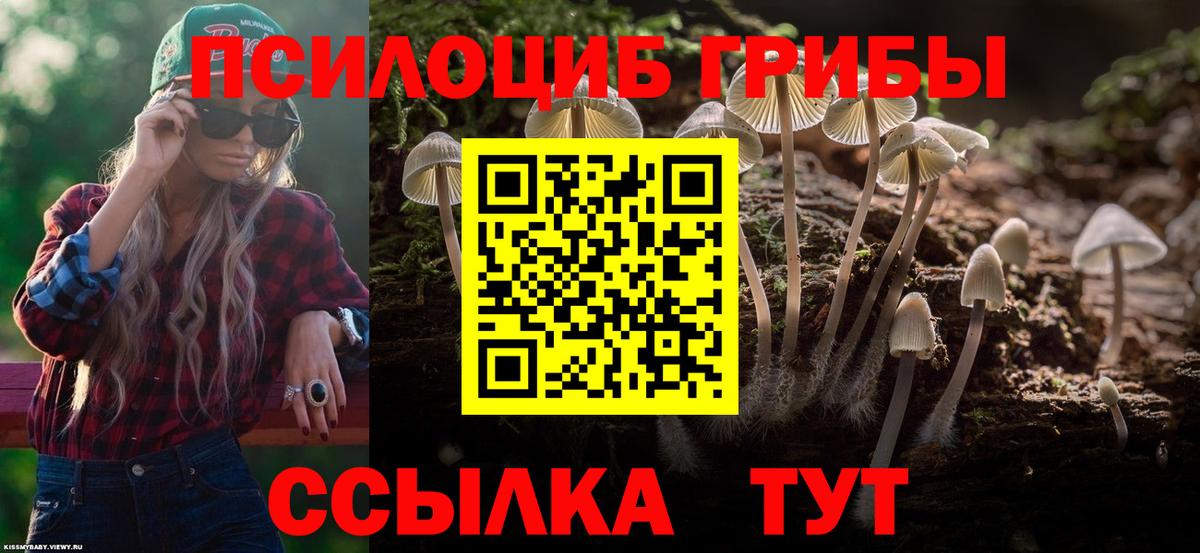 Томск  Псилоцибиновые грибы Magic Shrooms  Вход с VPN 